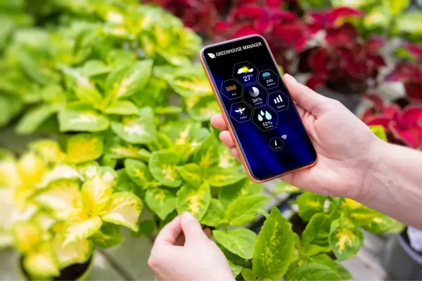 Aplicativos para identificar plantas pela câmera do celular